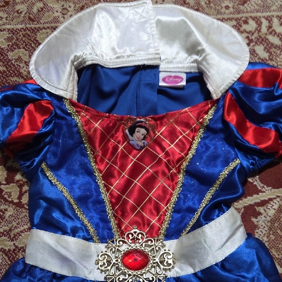 Disney Royal Princess Costume in Blue, Red, and Gold - Picture 2 of 4